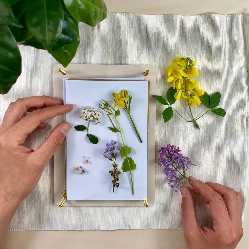 Blumenpresse | Pflanzen zeichnen & Herbarium anlegen