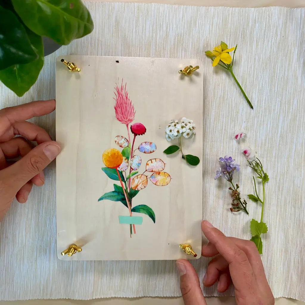 Blumenpresse | Pflanzen zeichnen & Herbarium anlegen