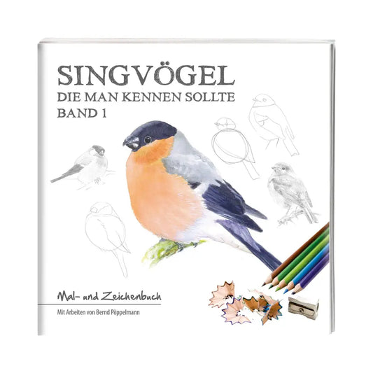 Singvögel die man kennen sollte - Band 1 | Vögel zeichnen